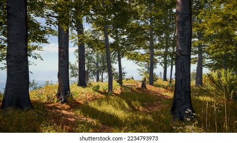 3D rendering. An immersive natural environment. Landscape to illustrate sustainable development goals, and ecosystem protection.