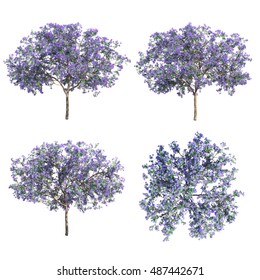 3d Rendering Jacaranda Mimosifolia Tree Stock Illustration 487442671