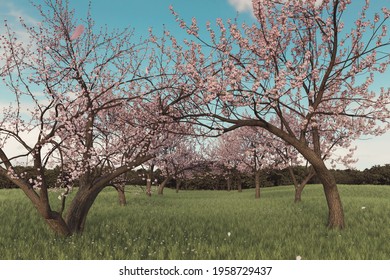 桜並木 のイラスト素材 画像 ベクター画像 Shutterstock