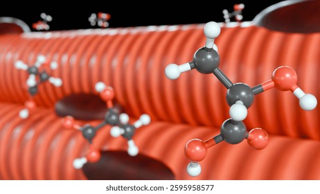 3d rendering of lactic acid molecules and skeletal muscle. The accumulation of lactic acid in muscle tissue during intense physical activity, leading to muscle fatigue and soreness.