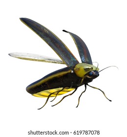 3D rendering of a lightning bug isolated on white background