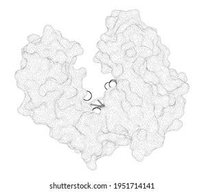 shutterstock