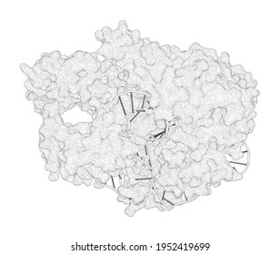 3D Rendering As A Line Drawing Of A Biological Molecule. Structural Basis For Two Metal-ion Catalysis Of DNA Cleavage By Cas12i2.