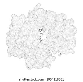 3D Rendering As A Line Drawing Of A Biological Molecule. Mapping Functional Substrate-Enzyme Interactions In The Pol Beta Active Site Through Chemical Biology.