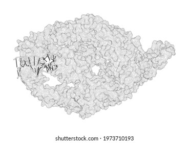 3D Rendering As A Line Drawing Of A Molecule. Mechanism Of Mismatch Recognition Revealed By Human MutSbeta Bound To Unpaired DNA Loops