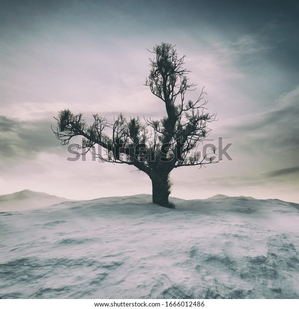 雪に覆われた寒い風景の上に寂しい冬の木を3dレンダリングし 荘厳な雲を背景に のイラスト素材