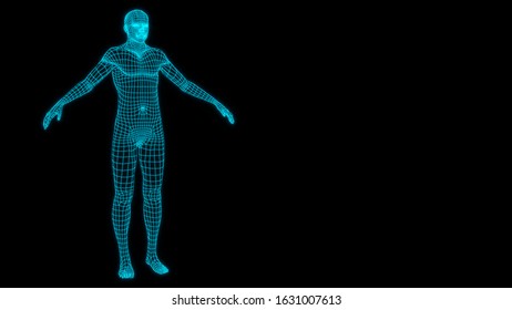 3d Rendering Male Body Stock Illustration 1631007613 | Shutterstock