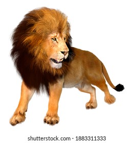 3d Rendering Male Lion Isolated On Stock Illustration 1721846572 ...