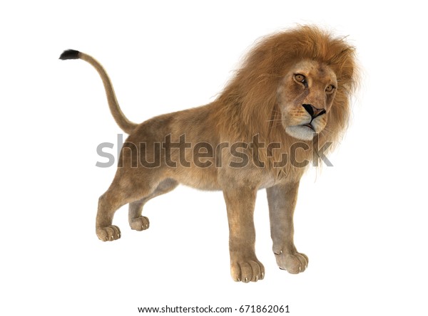 3d Rendering Male Lion Isolated On Stock Illustration 671862061 ...