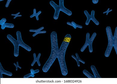 3d Rendering Of Marked Chromosome	