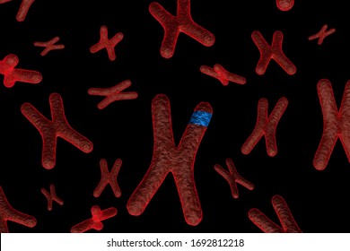 3d Rendering Of Marked Chromosome	