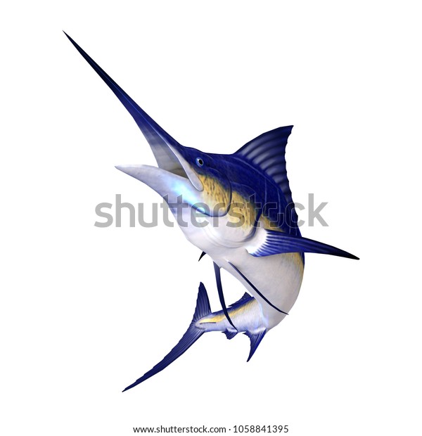 3d Rendering Marlin Fish Isolated On のイラスト素材