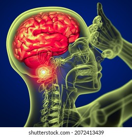 3D Rendering Medical Illustration Of The Brain  - Side View