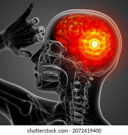 3D Rendering Medical Illustration Of The Brain  - Side View