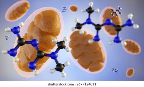 A 3d rendering of metformin, a small molecule, is actively transported into the mitochondria of liver cells. There, it targets the electron transport chain, which reduces ATP production.