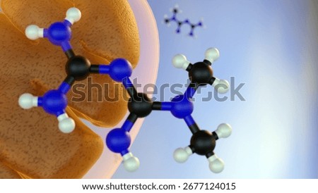 A 3d rendering of metformin, a small molecule, is actively transported into the mitochondria of liver cells. There, it targets the electron transport chain, which reduces ATP production.