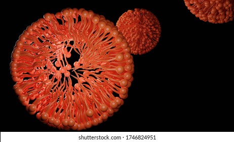 3D Rendering Of Micelle Structures. 