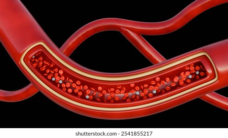 A 3d rendering of microscopic view reveals a bustling highway of blood cells, with red blood cells rushing past, carrying oxygen to the body's tissues and several white blood cells.