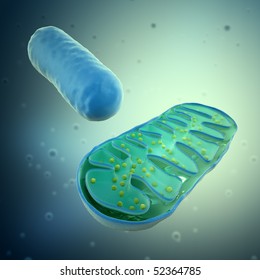 3d rendering of a Mitochondrium - microbiology illustration