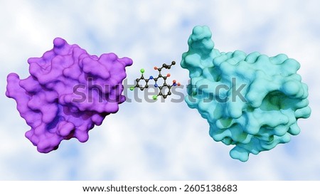 A 3d rendering of a molecular glue mediating the interaction between two proteins, the target proteins that the molecular glue is bringing together.