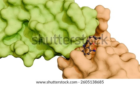 A 3d rendering of a molecular glue mediating the interaction between two proteins, the target proteins that the molecular glue is bringing together.