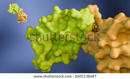 A 3d rendering of a molecular glue mediating the interaction between two proteins, the target proteins that the molecular glue is bringing together.