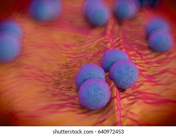 3d Rendering - Neisseria Gonorrhoeae Bacteria