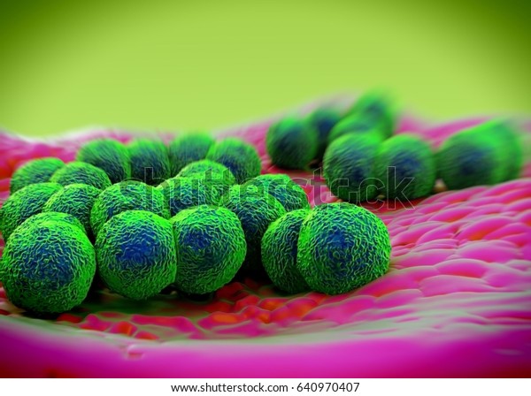 3d Rendering Neisseria Gonorrhoeae Bacteria Stock Illustration 640970407 Shutterstock 4877