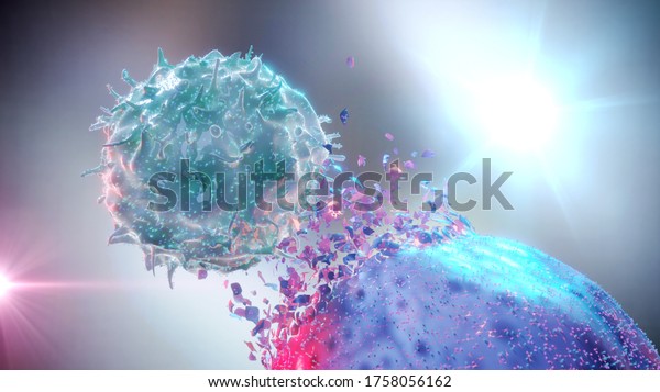 3D rendering of a NK Cell (Natural Killer Cell)\
destroying a cancer\
cell