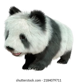 3D Rendering Of A Panda Bear Isolated On White Background