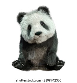 3D Rendering Of A Panda Bear Isolated On White Background