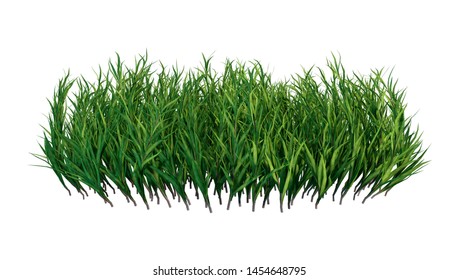 3D Rendering Of A Patch Of Grass Isolated On White Background