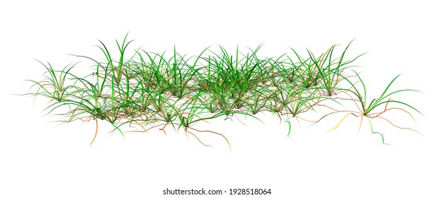 3D Rendering Of A Patch Of Grass Isolated On White Background