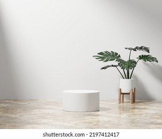 3d Rendering Platform Podium Monstera Plant Stock Illustration ...