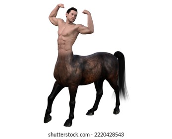 3D Rendering : A portrait of the handsome male centaur posing his body, isolated with white background, including clipping path