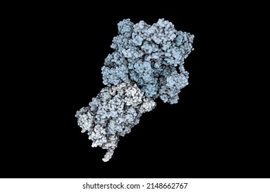 3D Rendering Of A Proteasome -  Protein Complex That Degrades Unneeded Or Damaged Proteins In A Cell.