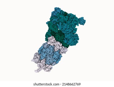 3D Rendering Of A Proteasome -  Protein Complex That Degrades Unneeded Or Damaged Proteins In A Cell.