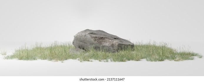 3D rendering of rocks, grass and flowers. placed on a white background