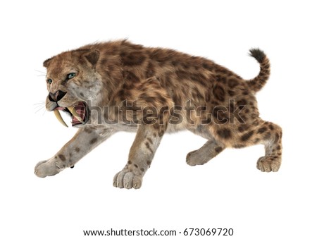 3D rendering of a saber tooth tiger isolated on white background