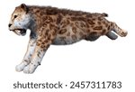 3D rendering of a saber toothed tiger isolated on white background