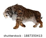 3D rendering of a sabertooth tiger isolated on white background