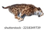 3D rendering of a sabertooth tiger isolated on white background