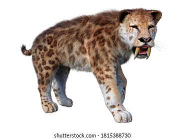 3,039 Saber Toothed Images, Stock Photos & Vectors | Shutterstock