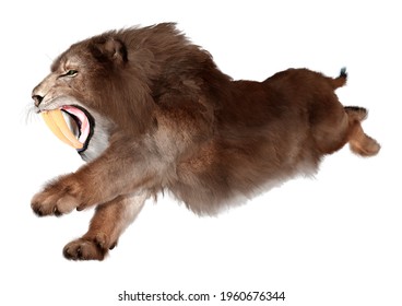 3D rendering of a sabertooth tiger isolated on white background