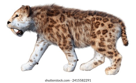 3D rendering of a sabertooth tiger isolated on white background