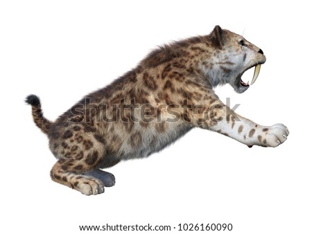 3D rendering of a sabertooth tiger isolated on white background