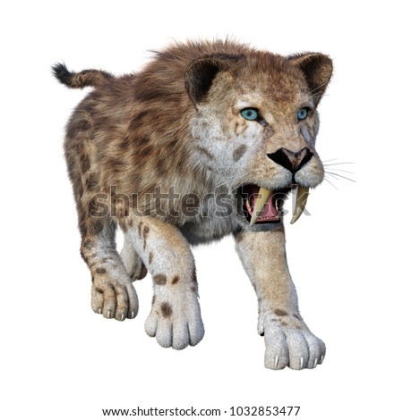 3D rendering of a sabertooth tiger isolated on white background