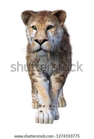 3D rendering of a sabertooth tiger isolated on white background