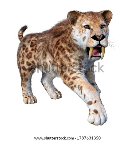 3D rendering of a sabertooth tiger isolated on white background