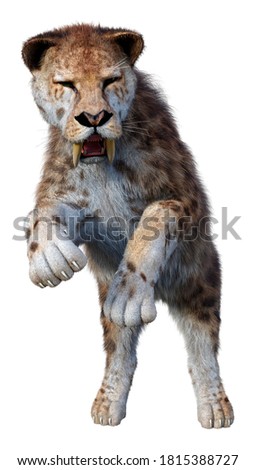 3D rendering of a sabertooth tiger isolated on white background